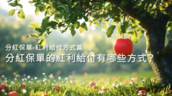 分紅保單-紅利給付方式篇-示意圖