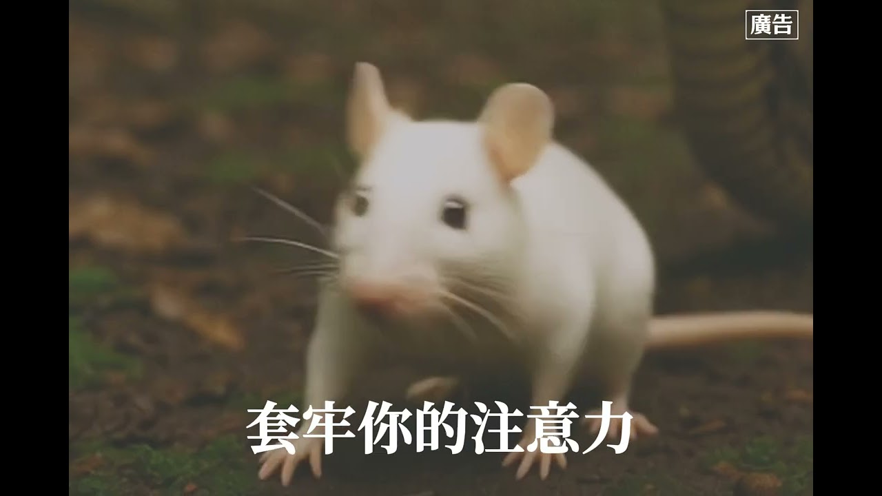 「防詐五不」-示意圖