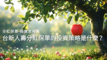 分紅保單-投資策略篇-示意圖