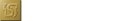 台新金控logo